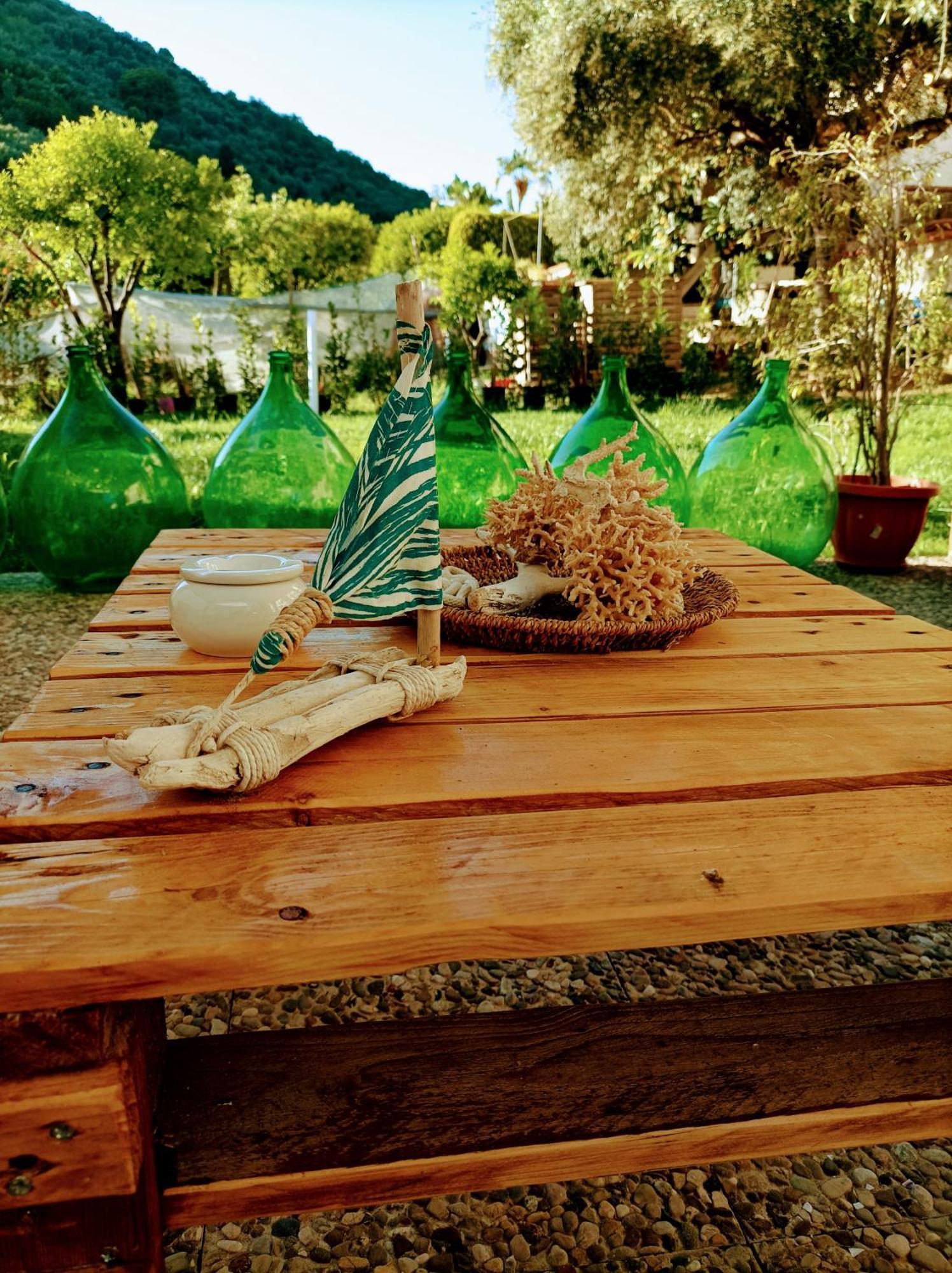 Laris Bed & Breakfast Castellabate Ngoại thất bức ảnh